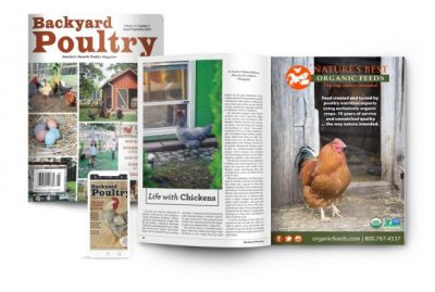 Backyard Poultry All-Access Membership (6 Issues + Digital)